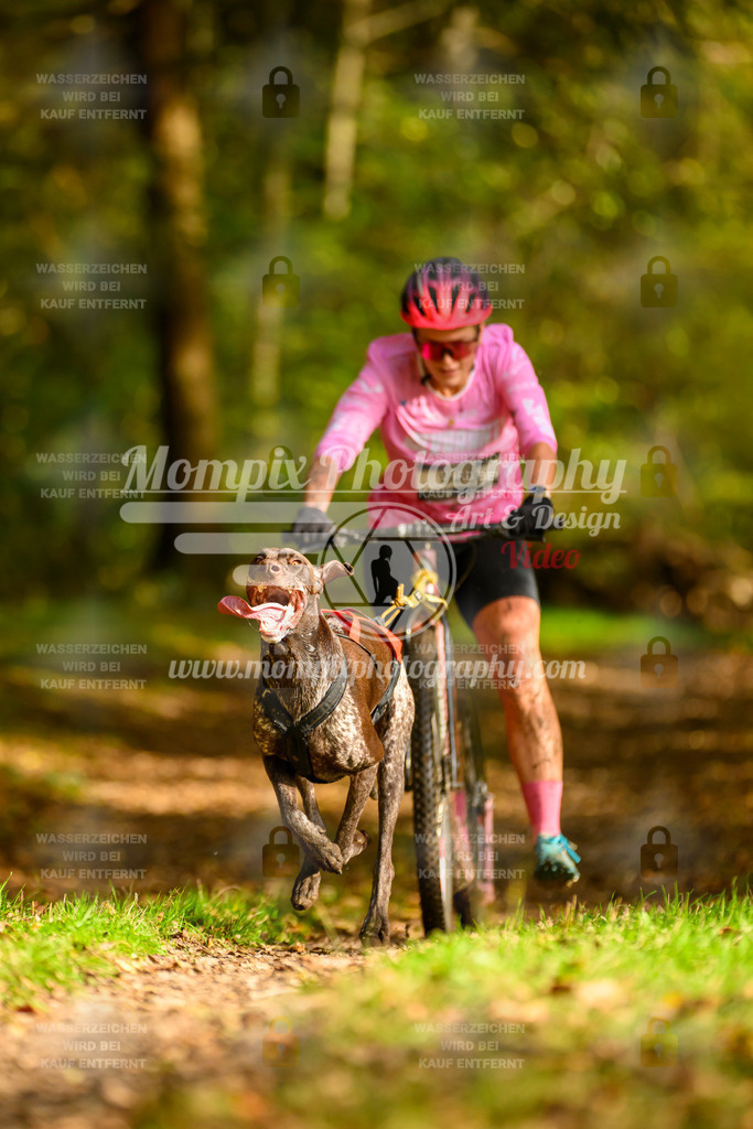 MompixPhotography_20TSB_E1_DS1-2 | PayLife