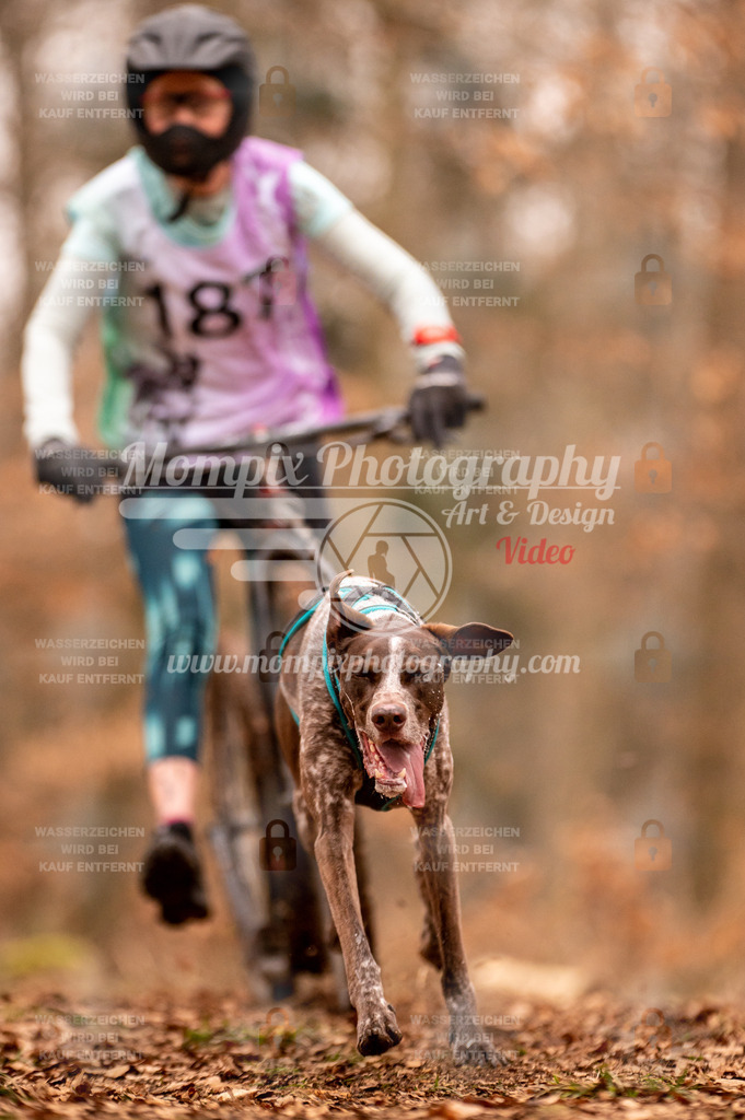 AKM_ST_2023_SAM_Scooter-64 | PayLife