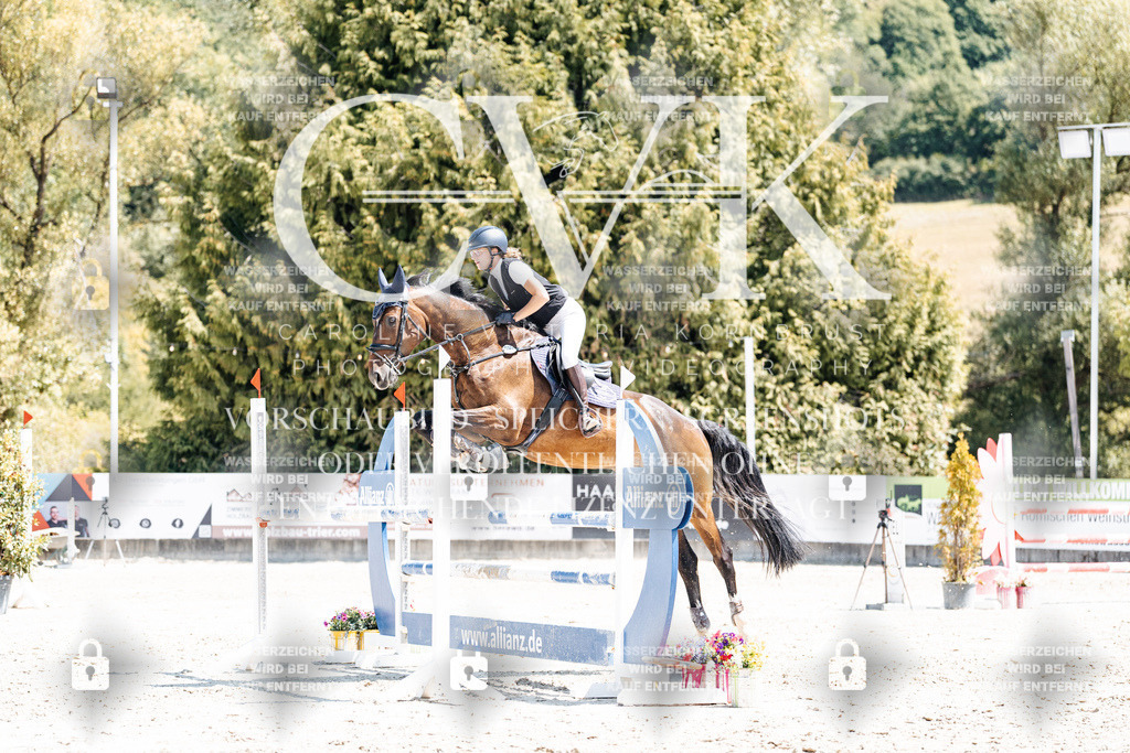 CK900377 | Turnierfotografie Pferdefotografie Trier Rheinland-Pfalz Pferdesport Reitsport Tierfotografie Sportfotografie Pferdevideo Pferdevideografie Equestrianvideography equestrianphotography  - Realisiert mit Pictrs.com