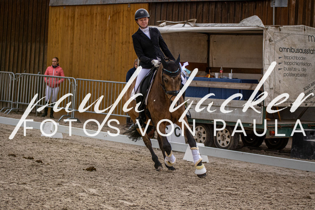 IMG_4731 | Erleben Sie dynamische Sport- und emotionale Tierfotografie in Süddeutschland mit Fotos von Paula. Spezialisiert auf Pferde- und Hundefotografie sowie Sportevents. Kontaktieren Sie mich für einzigartige und ausdrucksstarke Bilder Ihrer besonderen Momente. - Realisiert mit Pictrs.com