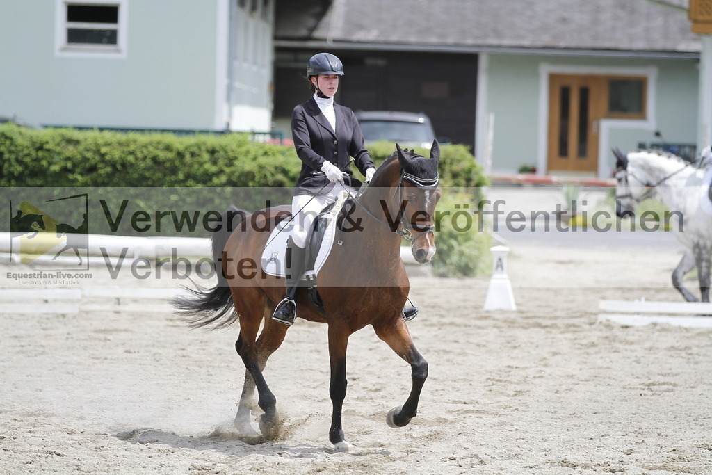 _MG_8963 | equestrian-live-com