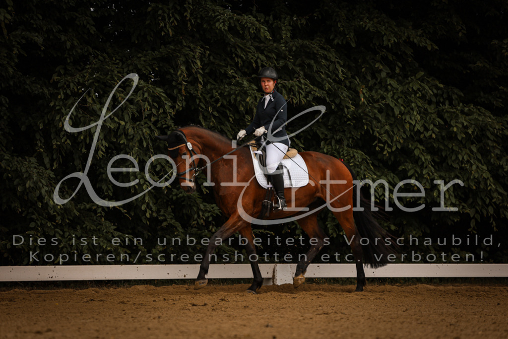 DoDrE00066 | Leoni Ertmer Photography - Realisiert mit Pictrs.com