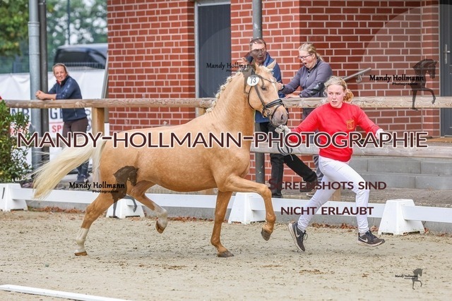 33-21 | mandyhollmannphotographie