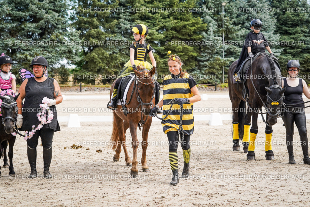 DSC03197 | Pferdegrafie