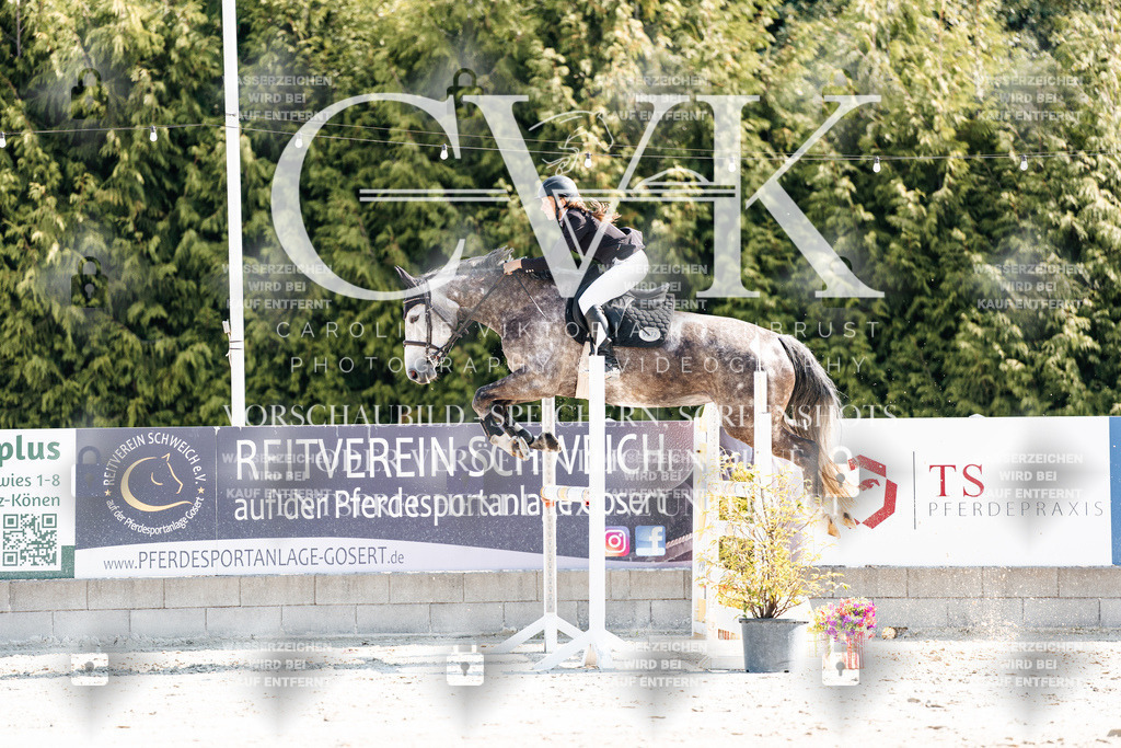 CK902582 | Turnierfotografie Pferdefotografie Trier Rheinland-Pfalz Pferdesport Reitsport Tierfotografie Sportfotografie Pferdevideo Pferdevideografie Equestrianvideography equestrianphotography  - Realisiert mit Pictrs.com