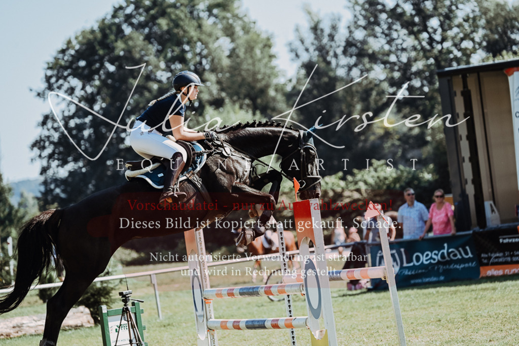 DSC_5998 | Pferde- und Turnierfotografie in Westsachsen. Pferdeportraits, Auftragszeichnungen und intuitive Kunst.