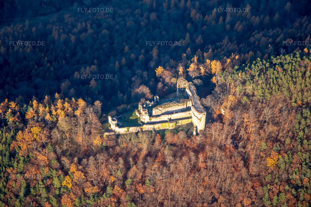 Luftbild: Burgruine Neuscharfeneck von Süden in Flemlingen im Bundesland Rheinland-Pfalz in Deutschland. Foto: IMG_135357.jpg vom 12.12.2022 durch Werner Riehm/FLY-FOTO.de