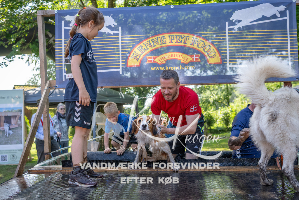 1417_ZZ93806 | kk-dogfotos