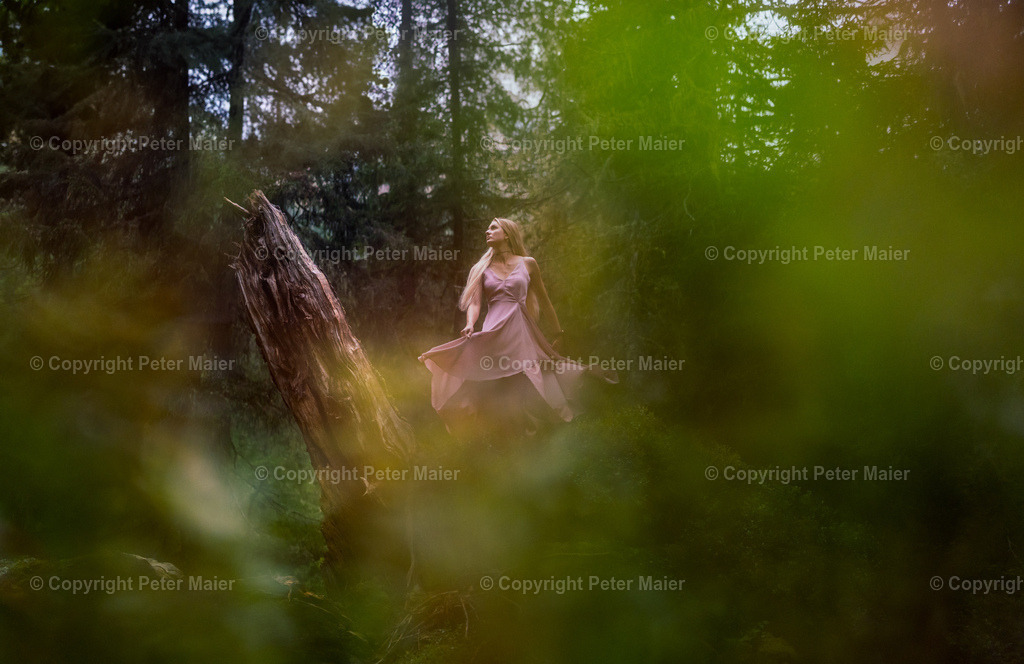 Debanttal_Erlebnisraum_Wald_23_Peter_Maier-565 | piet_flosse
