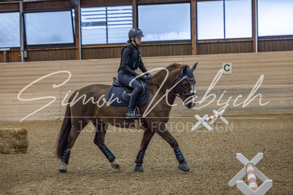 20260221-_3LI8218 | Tierfotografie Pferde, Hunde, Katzen, Haustiere.
Turnierfotografie Reitturniere, Reiten, Springreiten, Dressur in Hanau, dem Main-Kinzig-Kreis und dem Rhein-Main- Gebiet um Frankfurt