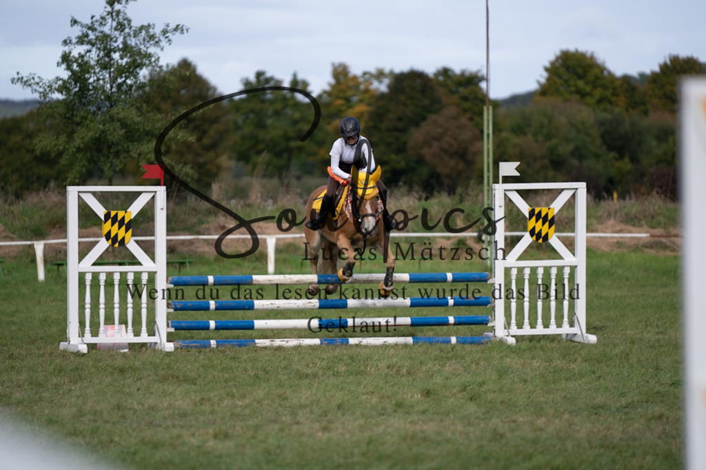 A7V06461 | Pferdefotograf