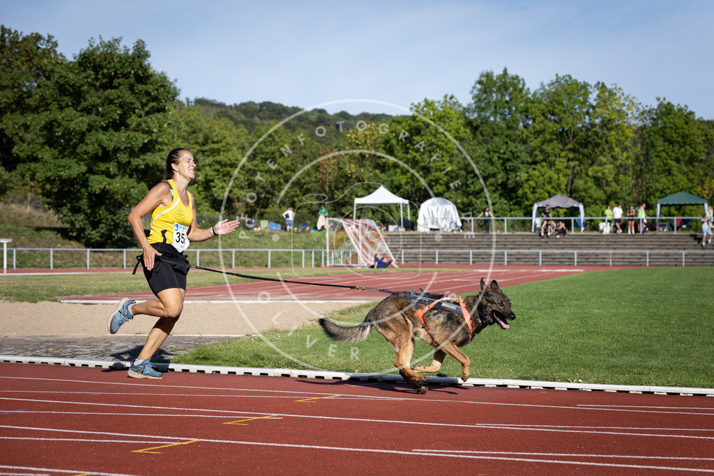 Pfotenfotografie_DV3A9777 | Hundefotografie, Tierfotograf, Pfotenfotografie, Fotoshooting Hund, Hunde Portrait, Hundesport, Hundeportraits, Heideshooting, Hunde, Sportfotograf, Hundefotograf, Turnierhundsport, THS,  - Realisiert mit Pictrs.com