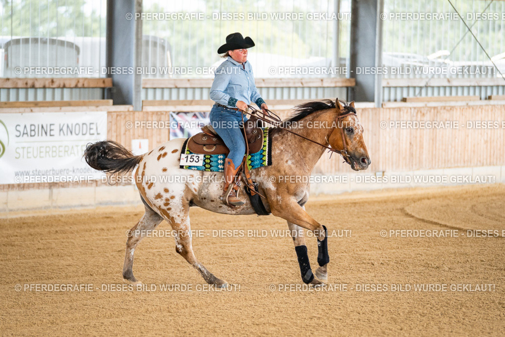 DSC03886 | Pferdegrafie