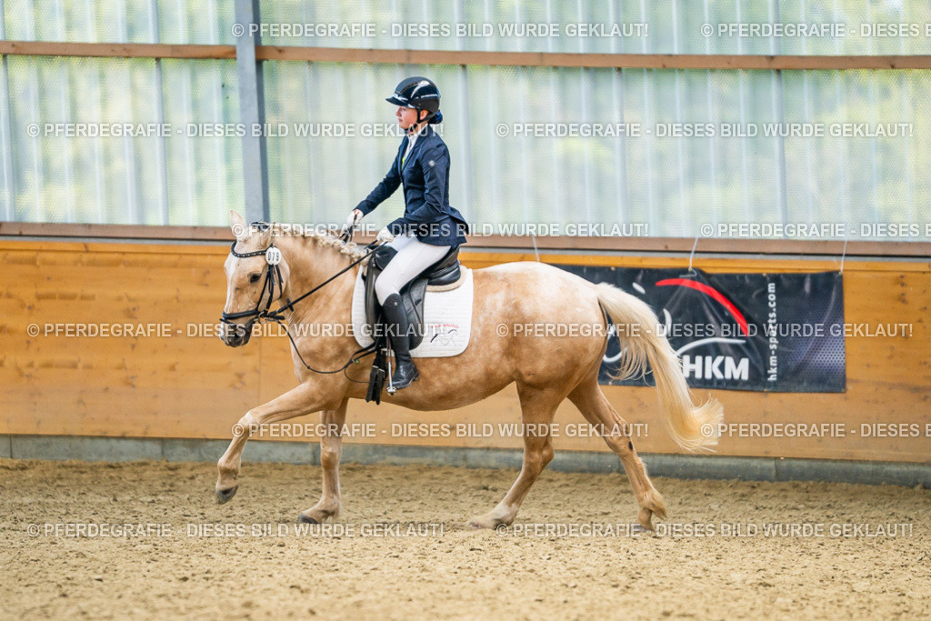 DSC03755 | Pferdegrafie