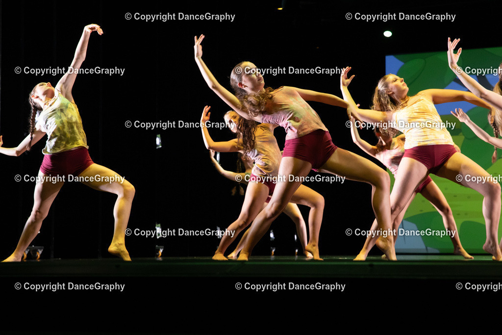 GPHY6341 | DanceGraphy - Realisiert mit Pictrs.com