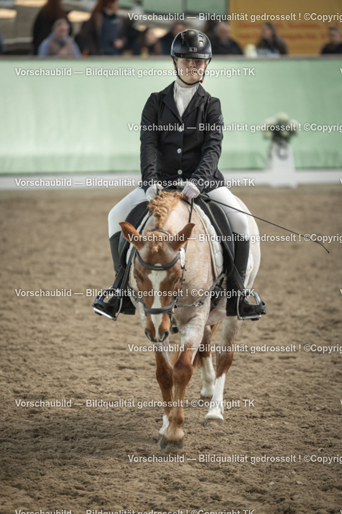 _D5A5575 | Emotionale Pferde- & People-Fotografie rund um Heidelberg, Leimen & Umgebung. Natürliche Fotos von Pferd, Mensch & Familie. Jetzt Termin sichern!