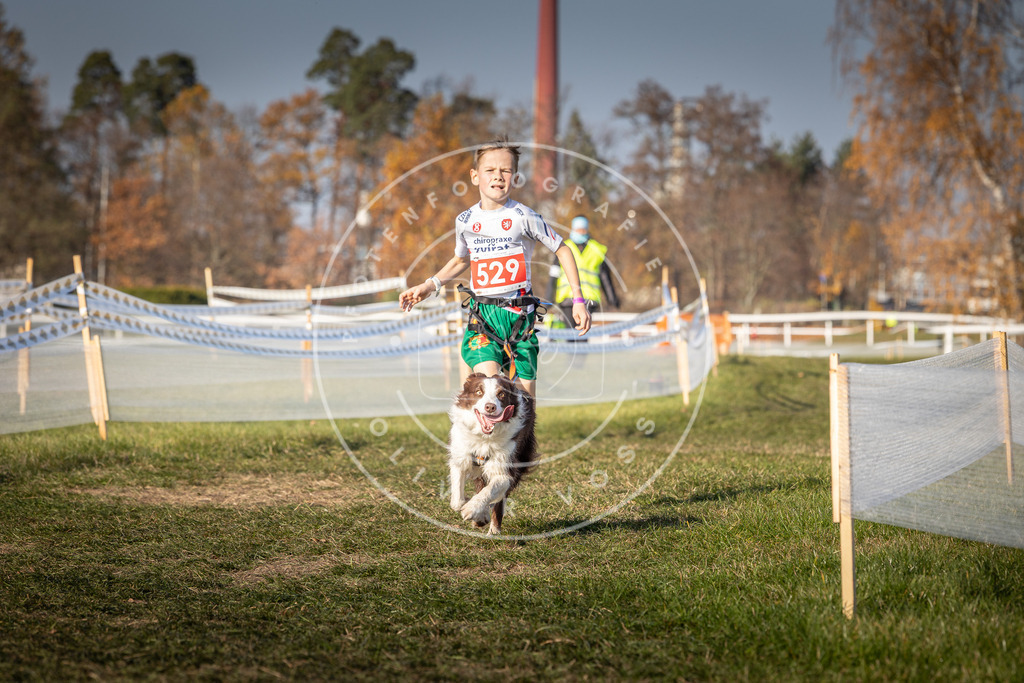 CaniXpix_0L8A8859 | Hundefotografie, Tierfotograf, Pfotenfotografie, Fotoshooting Hund, Hunde Portrait, Hundesport, Hundeportraits, Heideshooting, Hunde, Sportfotograf, Hundefotograf, Turnierhundsport, THS,  - Realisiert mit Pictrs.com