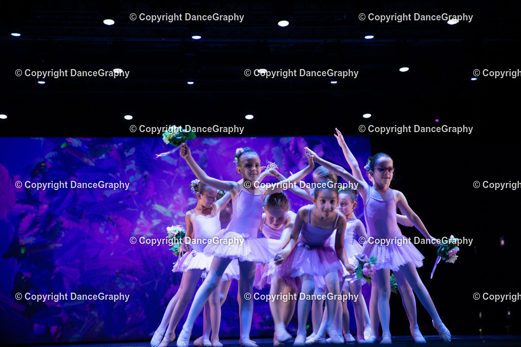 GPHY4856 | DanceGraphy - Realisiert mit Pictrs.com