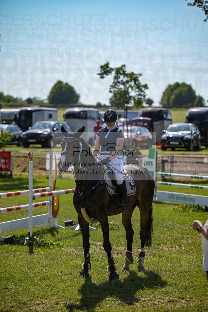 Reitturnier Voxtrup | Entdecke hochwertige Reitturnierfotos von Foto Oger. Professionell, emotional und authentisch – jetzt Lieblingsmomente im Shop bestellen.Deutschlandweite Turnierfotografie. - Realisiert mit Pictrs.com