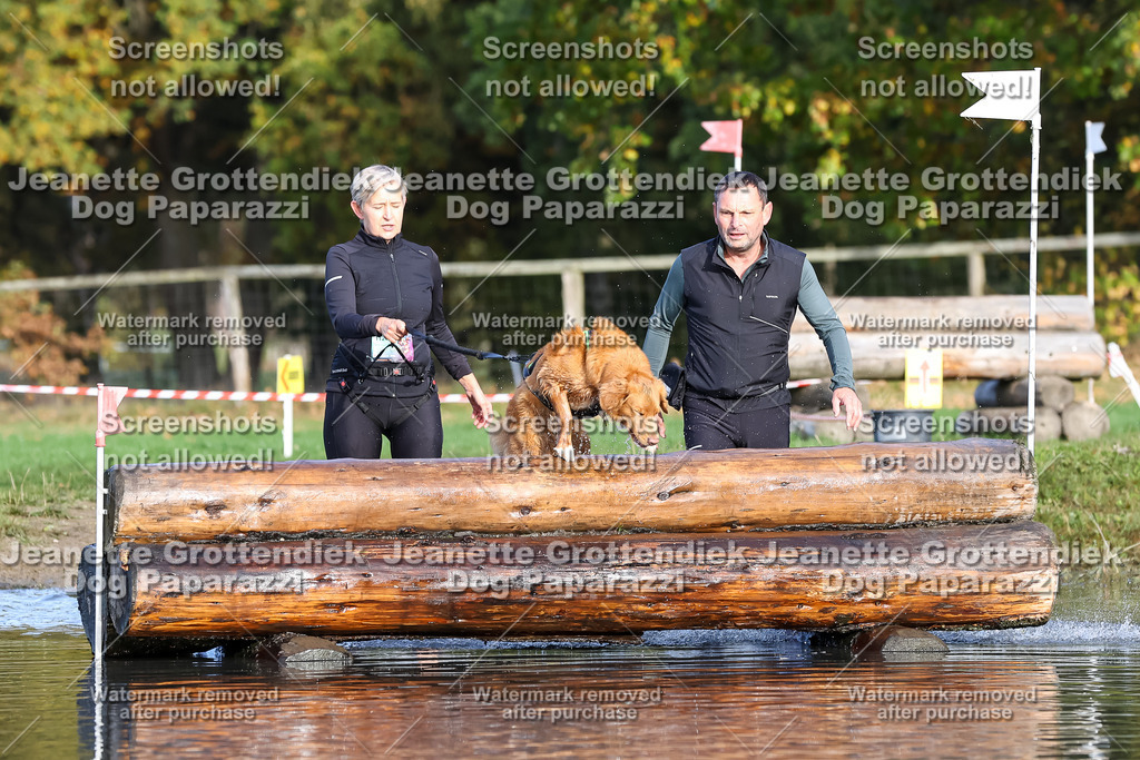 Dog Paparazzi - Strongdog 10-25-8386 | Dog Paparazzi Jeanette Grottendiek Fotografie & Videografie - Realisiert mit Pictrs.com