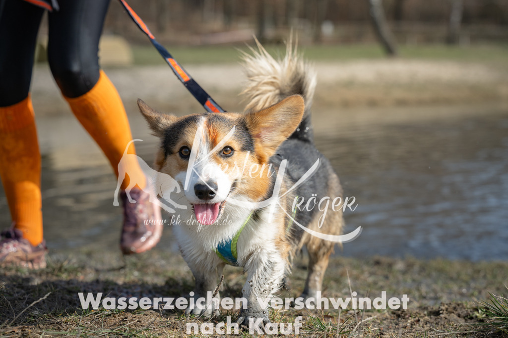 1313_ZZ95339 | kk-dogfotos