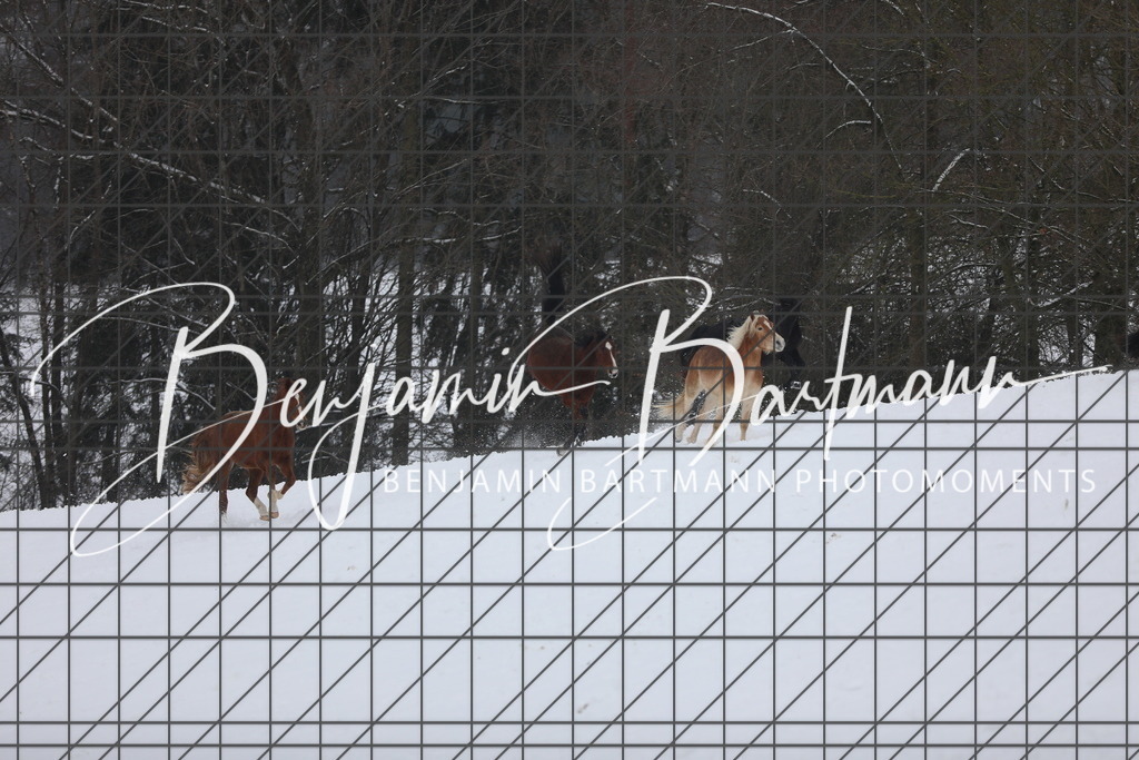 AZ2A3341 | Benjamin Bartmann Photomoments