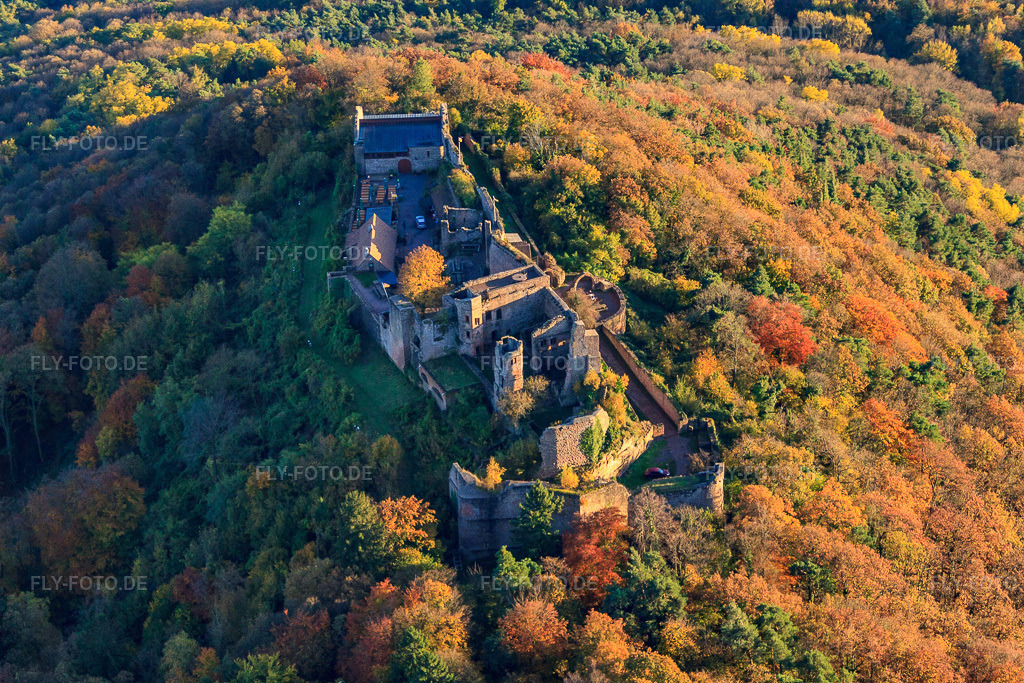 Luftbild: Burgruine Madenburg im herblist gefärbtem Wald in Eschbach im Bundesland Rheinland-Pfalz in Deutschland. Foto: IMG_60634.jpg vom 24.10.2013 durch Werner Riehm/FLY-FOTO.de