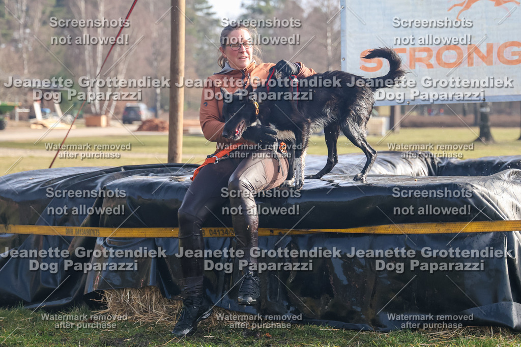Dog Paparazzi - Strongdog North Mrz26-332 | Dog Paparazzi Jeanette Grottendiek Fotografie & Videografie - Realisiert mit Pictrs.com