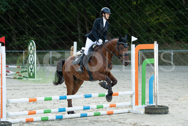 DSC06127 | Agrolens Media & Dienstleistungen - Realisiert mit Pictrs.com