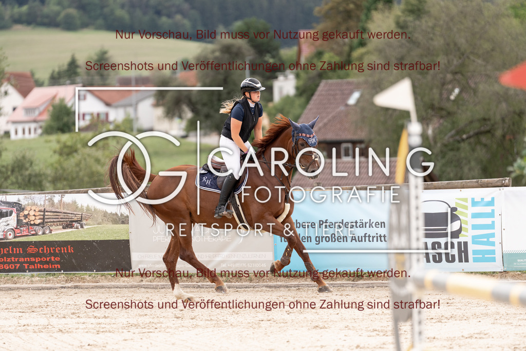 DSC06465 | Springturnier_Teamchallege_Talheim_2026, Romy_Hack, Alm_von_der_Hütlen