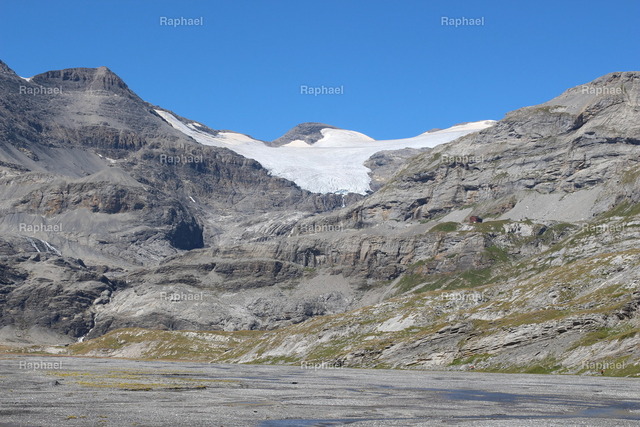 IMG_3372 | Raphael - Realisiert mit Pictrs.com