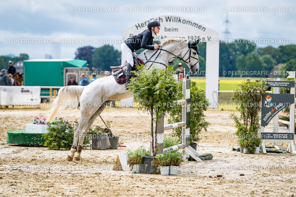 DSC04102 | Pferdegrafie