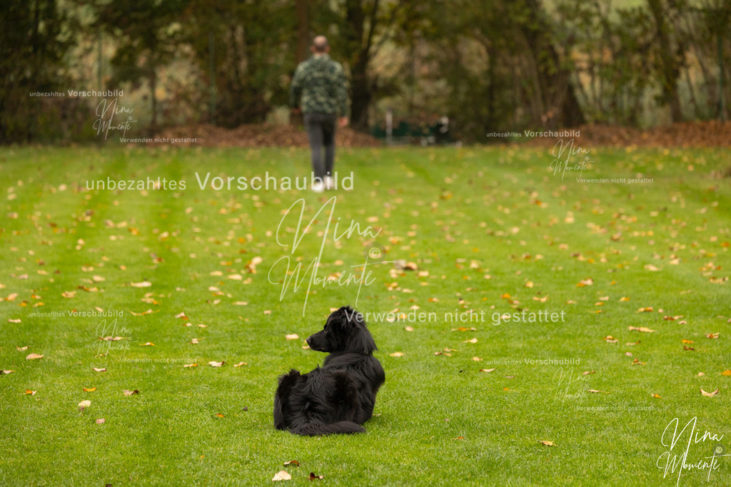 _16A0627 | Einzigartige Fotos von Hunden & Menschen –Actionfotos, Portraits, Vereinsaufnahmen & Paarshootings – authentisch, lebendig & mit Herz.