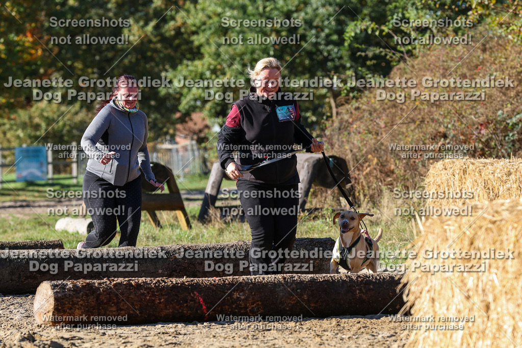 Dog Paparazzi - Strongdog 10-25-2125 | Dog Paparazzi Jeanette Grottendiek Fotografie & Videografie - Realisiert mit Pictrs.com