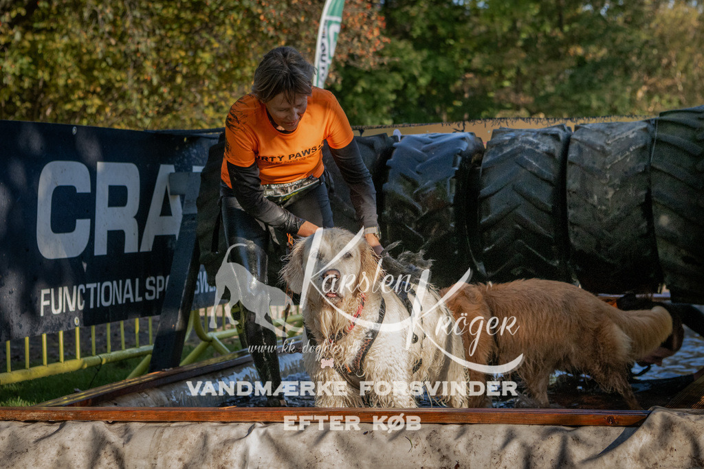 0947_ZZ91892 | kk-dogfotos