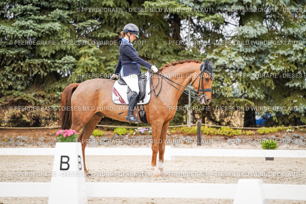 DSC07422 | Pferdegrafie