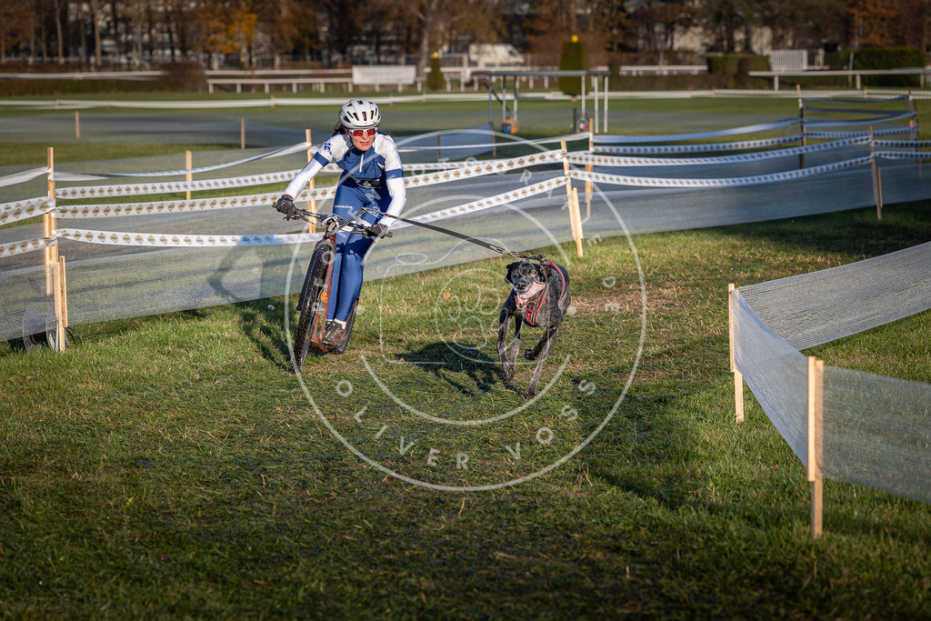 CaniXpix_0L8A3579 | Hundefotografie, Tierfotograf, Pfotenfotografie, Fotoshooting Hund, Hunde Portrait, Hundesport, Hundeportraits, Heideshooting, Hunde, Sportfotograf, Hundefotograf, Turnierhundsport, THS,  - Realisiert mit Pictrs.com