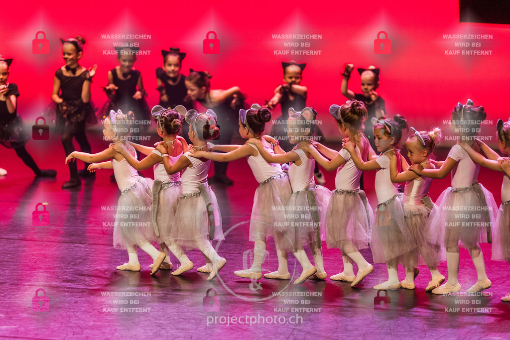 EXPORT_FULL-1-18 | projectphoto - Realisiert mit Pictrs.com