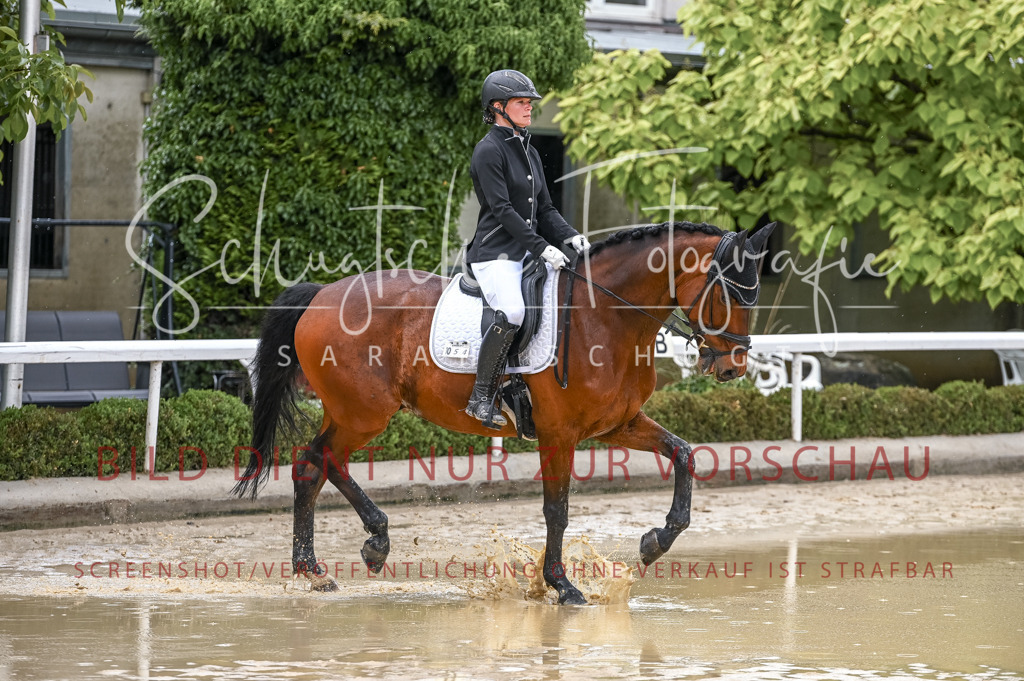 Schugtsche-Aluta25-54.Dressurprf.L1Trense-136 | Schugtsche Fotografie - Realisiert mit Pictrs.com