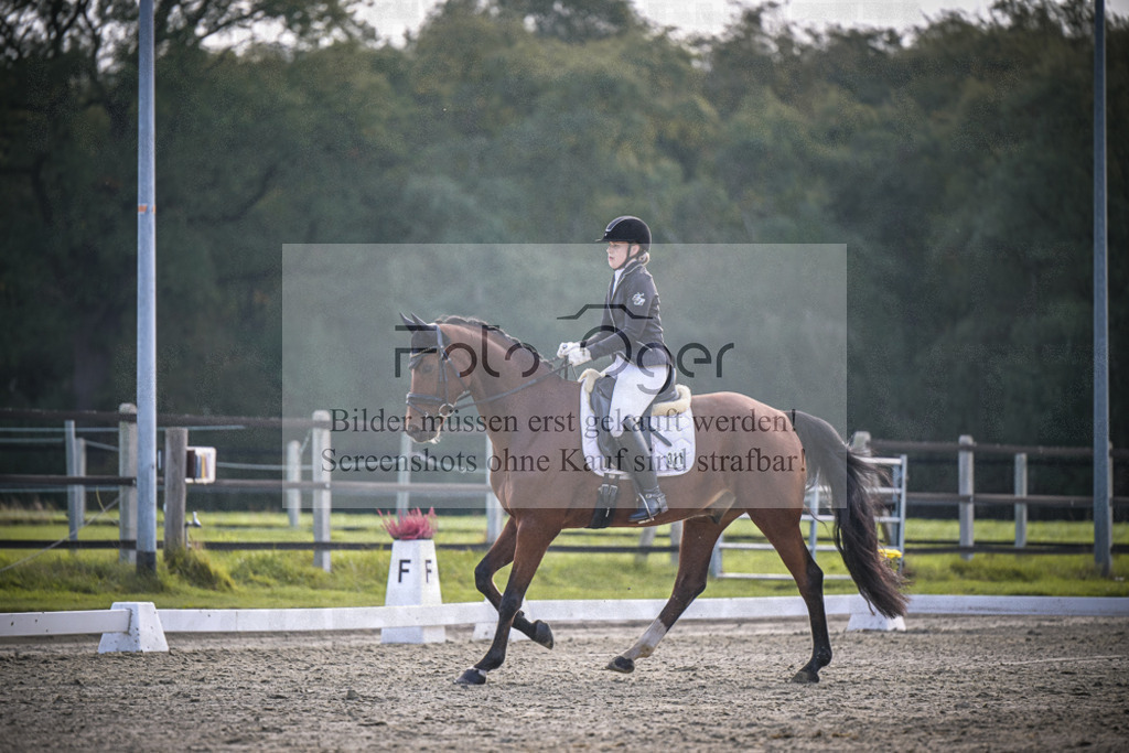 DOS_B012 | Entdecke hochwertige Reitturnierfotos von Foto Oger. Professionell, emotional und authentisch – jetzt Lieblingsmomente im Shop bestellen.Deutschlandweite Turnierfotografie. - Realisiert mit Pictrs.com