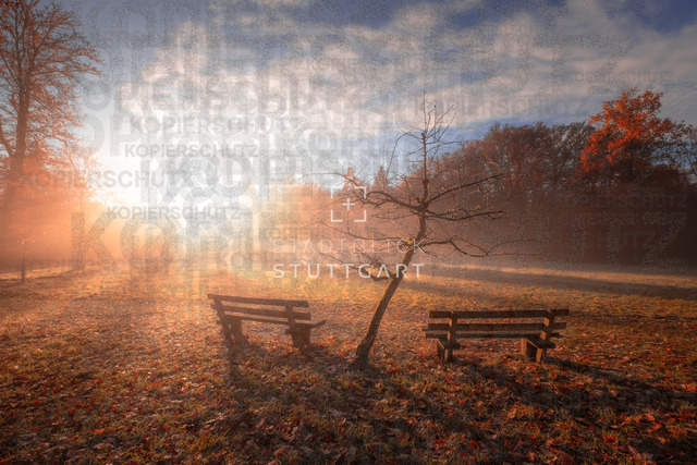 _DSF6027-HDR | "Entdecken Sie atemberaubende Bilder von Stuttgart im Fotowerk Stuttgart! Kaufen Sie hochwertige Fotos auf Leinwand oder laden Sie digitale Downloads für Ihre Wohnung oder Büros herunter.  - Realisiert mit Pictrs.com