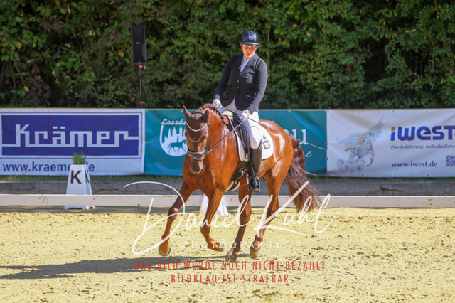 DKP41823 | Turniersportfotografie; Pferdefotografie; Dressurfotografie