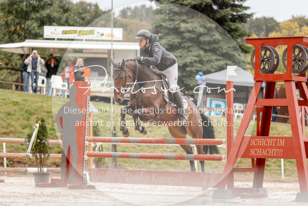 3I6A5919 | Stimmungsvolle Portraits und Reitsportfotografie im Ruhrgebiet und im Münsterland.

Pferdefotografie, Hundefotografie, Tierfotografie, Reportagen, Portraits von Tier und Mensch, Turnierfotografie in Bochum, Recklinghausen, Marl, Haltern am See, Dülmen.. - Realisiert mit Pictrs.com
