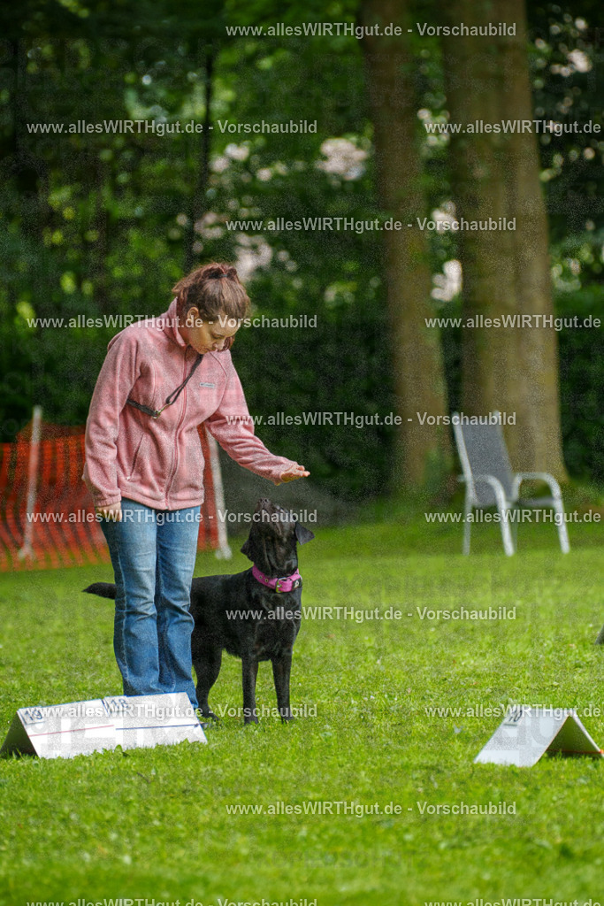 @allesWIRTHgut_Tierfotografie - www.allesWIRTHgut.de - 7R503180 | Professionelle Tierfotografie in Mönchengladbach von Daniel Wirth (allesWIRTHgut). Liebevolle & natürliche Bilder von Hunden & Katzen für unvergessliche Erinnerungen.