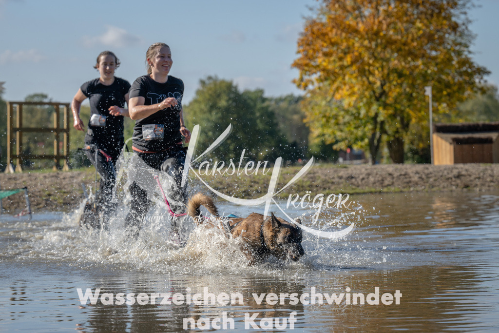 1335_ZZ91077 | kk-dogfotos