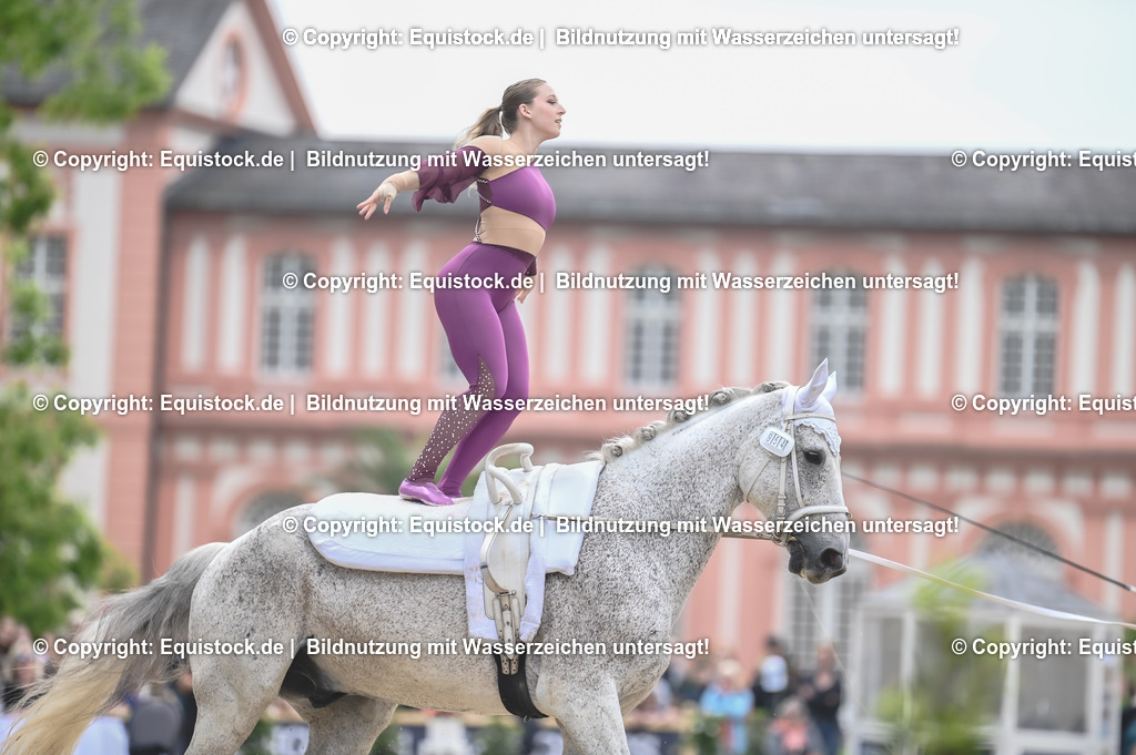 20240519_Voltige_0013 | Foto: Thomas Hartig