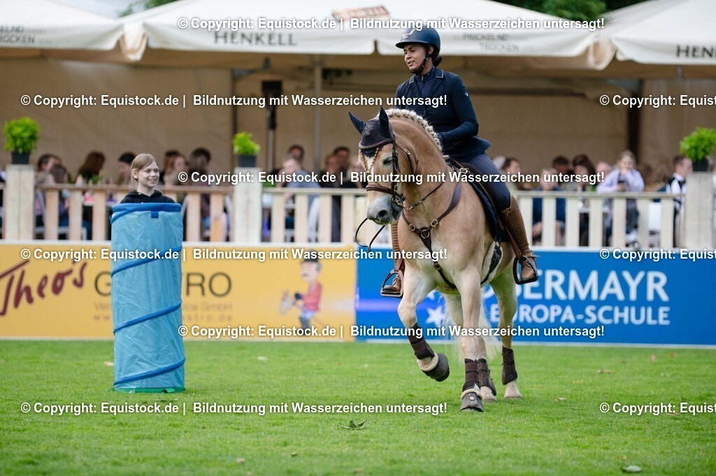 20250606_Lange-Pferdenacht_0305 | Foto: Thomas Hartig