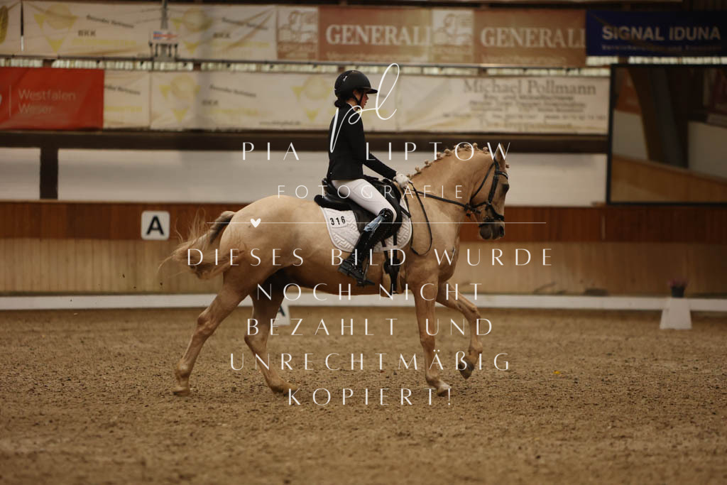 IMGM8515 | pl-fotografie