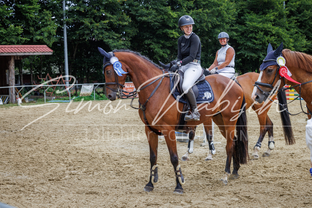 20260705-_3LI6336 | Tierfotografie Pferde, Hunde, Katzen, Haustiere.
Turnierfotografie Reitturniere, Reiten, Springreiten, Dressur in Hanau, dem Main-Kinzig-Kreis und dem Rhein-Main- Gebiet um Frankfurt