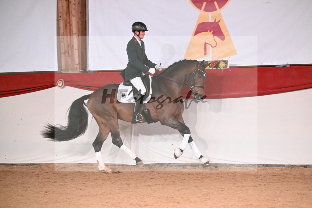 Vabenotto_Süß_3262402 | hf-fotografie - Realisiert mit Pictrs.com